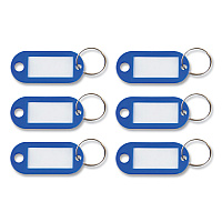 Advantus Key Tags Label Window, 0.88 x 0.19 x 2, Dark Blue, 6/Pack (AVTKEY98019)
