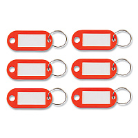 Advantus Key Tags Label Window, 0.88 x 0.19 x 2, Red, 6/Pack (AVTKEY98018)