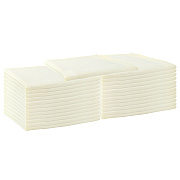 Mariposa Poly Spun Napkin 20x20 Ivory, Pack Of 25 (PNP-NAP-IVORY-25)