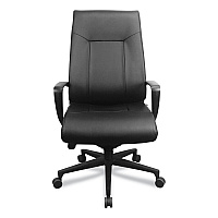Tempur-Pedic by Raynor Executive Chair, Supports up to 250 lbs, 20.5" to 23.5" Seat Height, Supports up to 250 lbs, Black (TMETP2500BLKL)