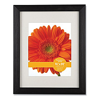Victory Light Woodtone Poster Frame with Mat, 11 x 14 Insert, Cappuccino (VLU1068275B1620)