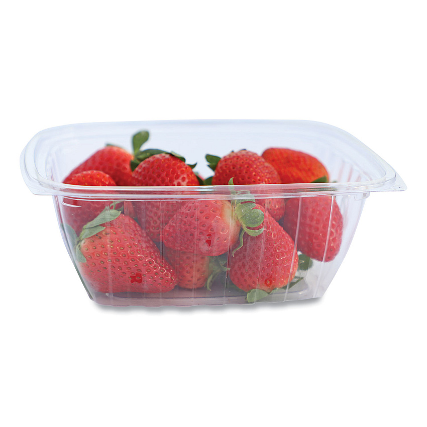 World Centric PLA Rectangular Deli Containers, 32 oz, 6.1 x 7.6 x 2.8, Clear, Plastic, 600/Carton (WORRDCS32)
