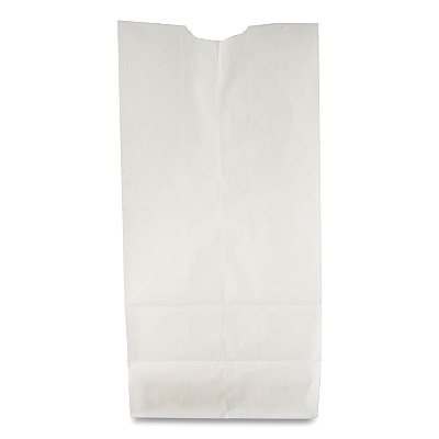 General Grocery Paper Bags, #10 Size, 6.31" x 4.19" x 13.38", White, 500/Bundle (BAGGW10500)