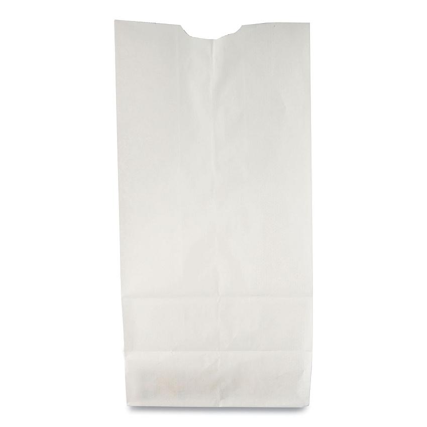General Grocery Paper Bags, #10 Size, 6.31" x 4.19" x 13.38", White, 500/Bundle (BAGGW10500)