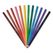 BIC Kids Coloring Pencils in Plastic Case, 0.7 mm, HB2 (#2), Assorted Lead, Assorted Barrel Colors, 24/Pack (BKCPP24AST)