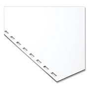 GBC CombBind Pre-Punched Paper, 19-Hole, 92 Bright, 20 lb Bond Weight, 8.5 x 11, Unruled, 500/Ream (SWI2020046)