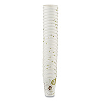 Dixie Pathways Paper Hot Cups, 16 oz, 50/Pack (DXE2346PATHPK)