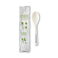 World Centric TPLA Compostable Cutlery, Spoon, 6", White, 750/Carton (WORSPPSI)