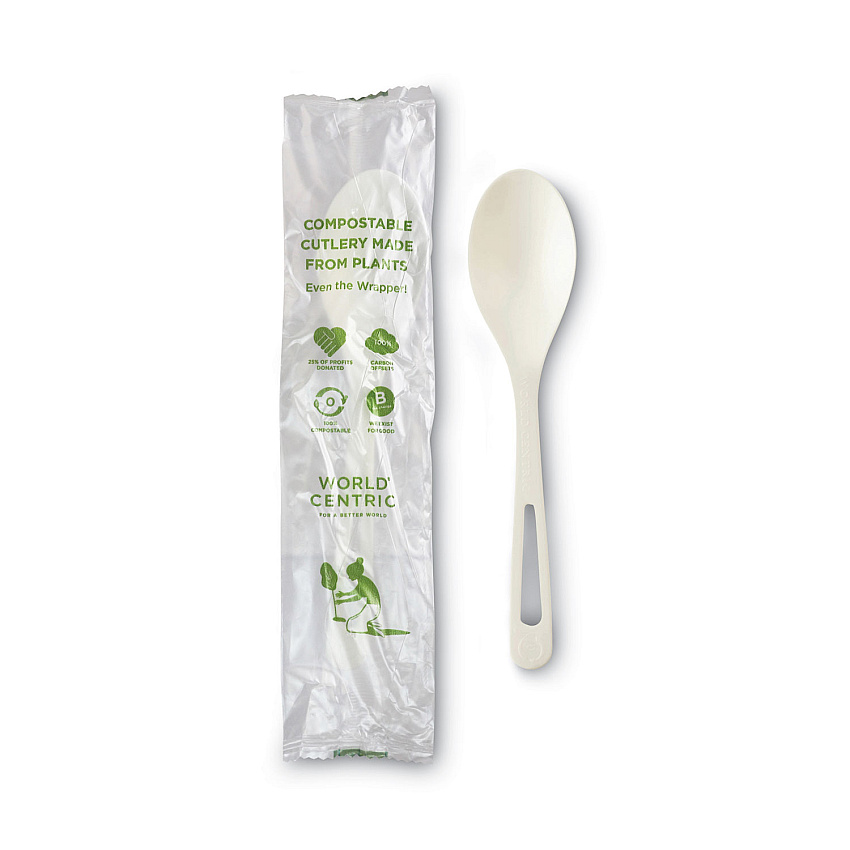 World Centric TPLA Compostable Cutlery, Spoon, 6", White, 750/Carton (WORSPPSI)