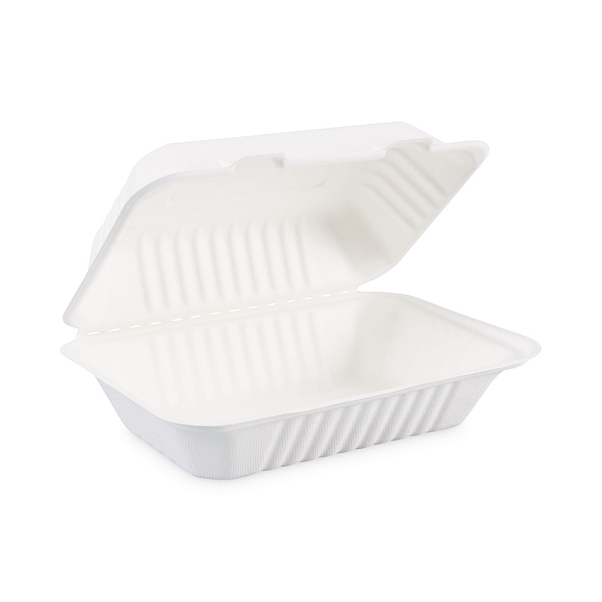 Boardwalk Bagasse Food Containers, Hinged-Lid, 1-Compartment 9 x 6 x 3.19, White, Sugarcane, 125/Sleeve, 2 Sleeves/Carton (BWKHINGEWFHG1C9)