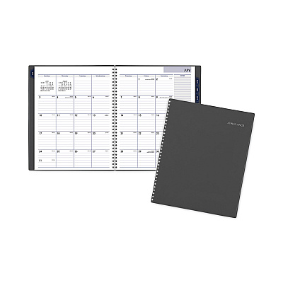 AT-A-GLANCE DayMinder Academic Monthly Desktop Planner, Twin-Wire Binding, 11 x 8.5, Charcoal Cover, 12-Month (July to June): 2025-2026 (AYC47045)