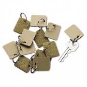 Extra Blank Hook and Loop Tags, Security-Backed, 1.13 x 1, Beige, 12/Pack (94190029)