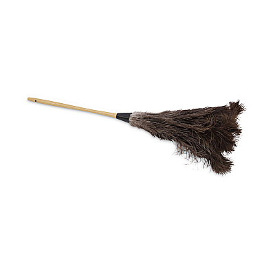 Boardwalk Professional Ostrich Feather Duster, 16" Handle (BWK28GY)