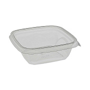 Pactiv Evergreen EarthChoice Square Recycled Bowl, 12 oz, 5 x 5 x 1.63, Clear, Plastic, 504/Carton (PCTSAC0512)