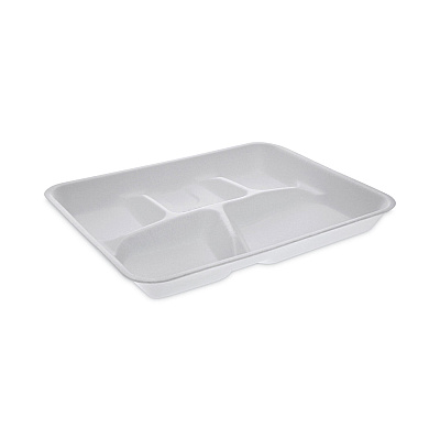 Pactiv Evergreen Foam School Trays, 5-Compartment Tray, 8.25 x 10.5 x 1,  White, 500/Carton (PCTYTH10500SGBX)