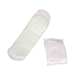 HOSPECO Generic Packaged Sanitary Pads, Regular Absorbency, 24/Pack, 24 Packs/Carton (HOSBULK576)