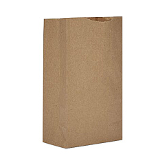 AJM Packaging Grocery Bag, 16" x 9" x 20.5", Kraft, 250/Bundle (GX3)