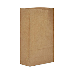 AJM Packaging Grocery Bag, 9.25" x 11.5" x 24.75", Brown, 1,000/Bundle (BAGGX6)