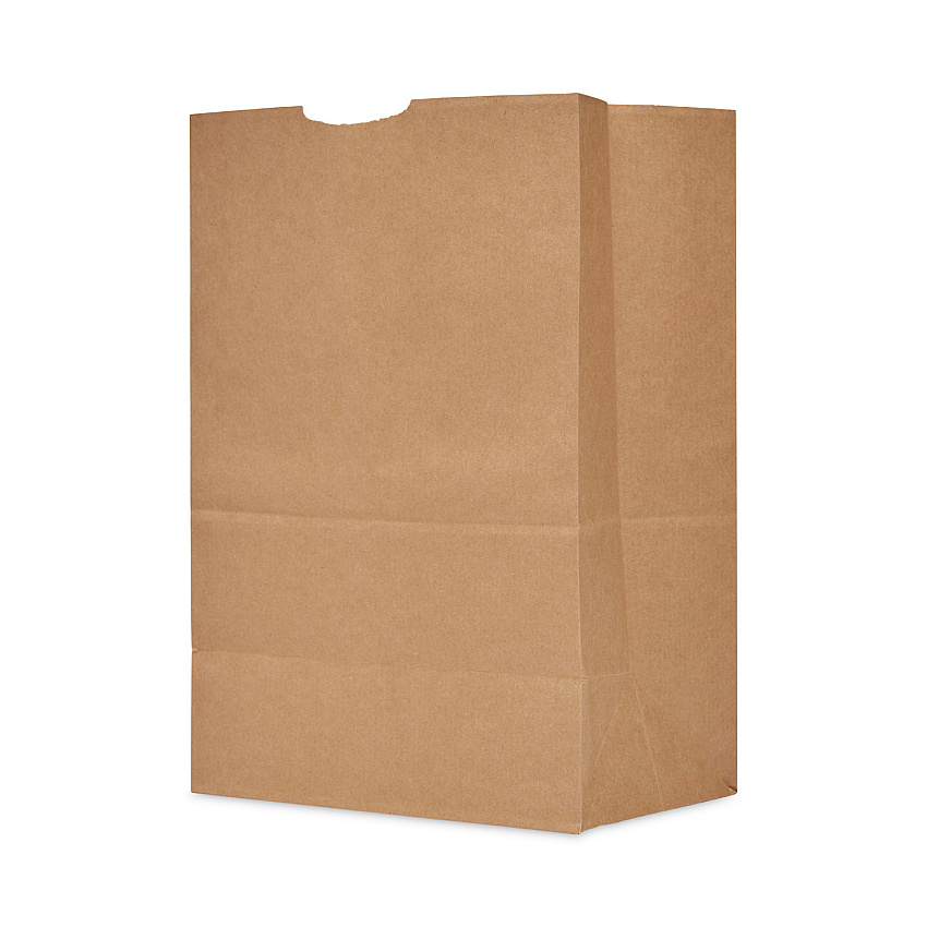 AJM Packaging Grocery Bag, 19.75" x 11.75" x 17", Kraft, 500/Bundle (SK1660)