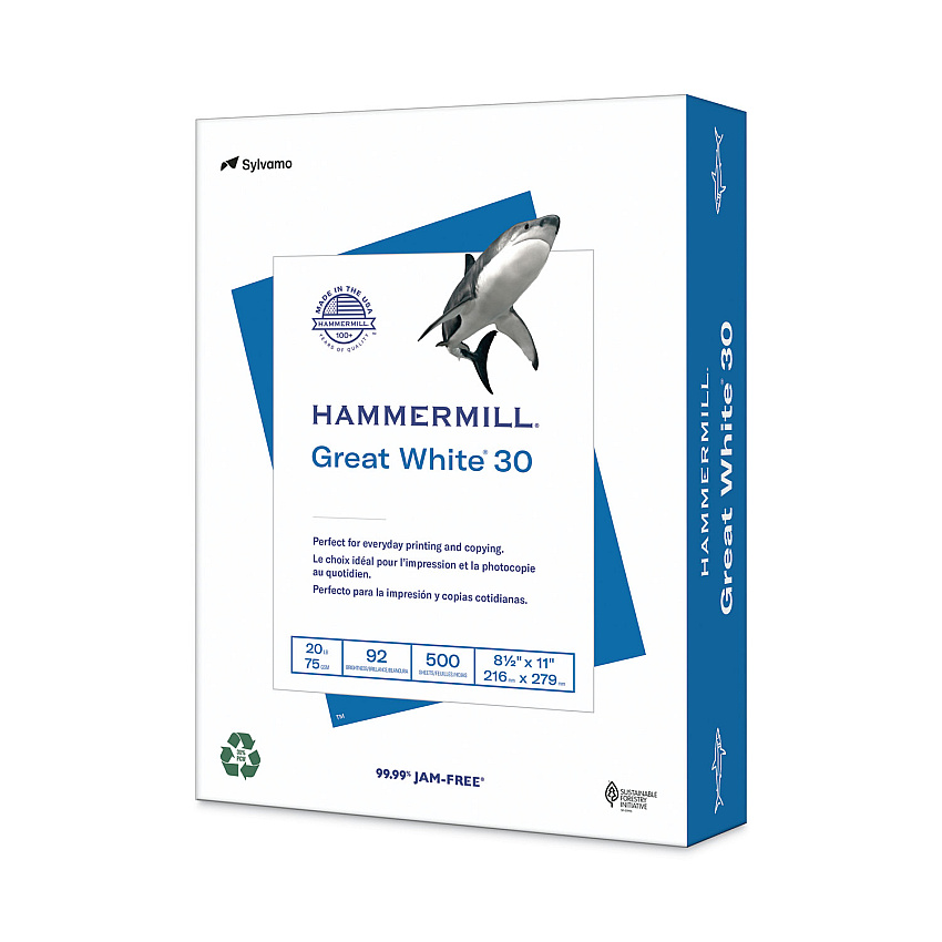 Hammermill Great White 30 Recycled Print Paper, 92 Bright, 20 lb Bond Weight, 8.5 x 11, White, 500/Ream (HAM86700RM)