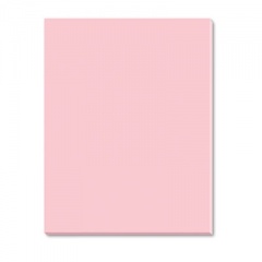 Pacon Riverside Construction Paper, 76 lb Text Weight, 18 x 24, Pink, 50/Pack (103456)