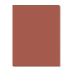 Pacon Riverside Construction Paper, 76 lb Text Weight, 18 x 24, Brown, 50/Pack (103470)