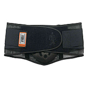 ergodyne ProFlex 1051 Mesh Back Support, Large, 34" to 38" Waist, Black (EGO20185)