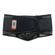 ergodyne ProFlex 1051 Mesh Back Support, 2X-Large, 42" to 46" Waist, Black (EGO20187)
