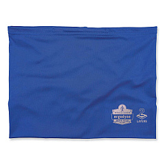 ergodyne Chill-Its 6489 2-Layer Cooling Performance Knit Multi-Band, Polyester/Spandex, Small/Medium, Blue (EGO42148)