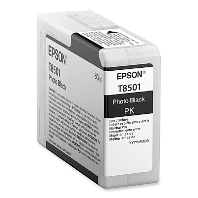 Epson T850100 Ink, Photo Black