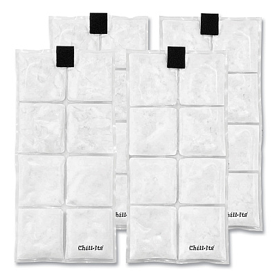 ergodyne Chill-Its 6250 Lightweight Phase Change Cooling Packs, 6 x 13, 4/Carton (EGO12120)
