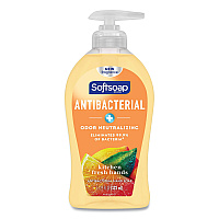 Softsoap Antibacterial Hand Soap, Citrus Scent, 11.25 oz (CPC45096EA)