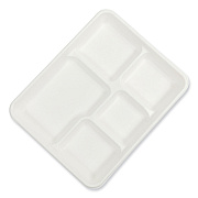 AmerCareRoyal Bagasse PFAS-Free Food Tray, 5-Compartment, 8.26 x 10.23 x 0.94, White, Bamboo/Sugarcane, 500/Carton (RPPTL15TNPFA)