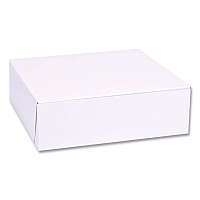SCT White One-Piece Non-Window Bakery Boxes, Standard, 8 x 2.5 x 8, White, Paper, 250/Bundle (SCH1533)