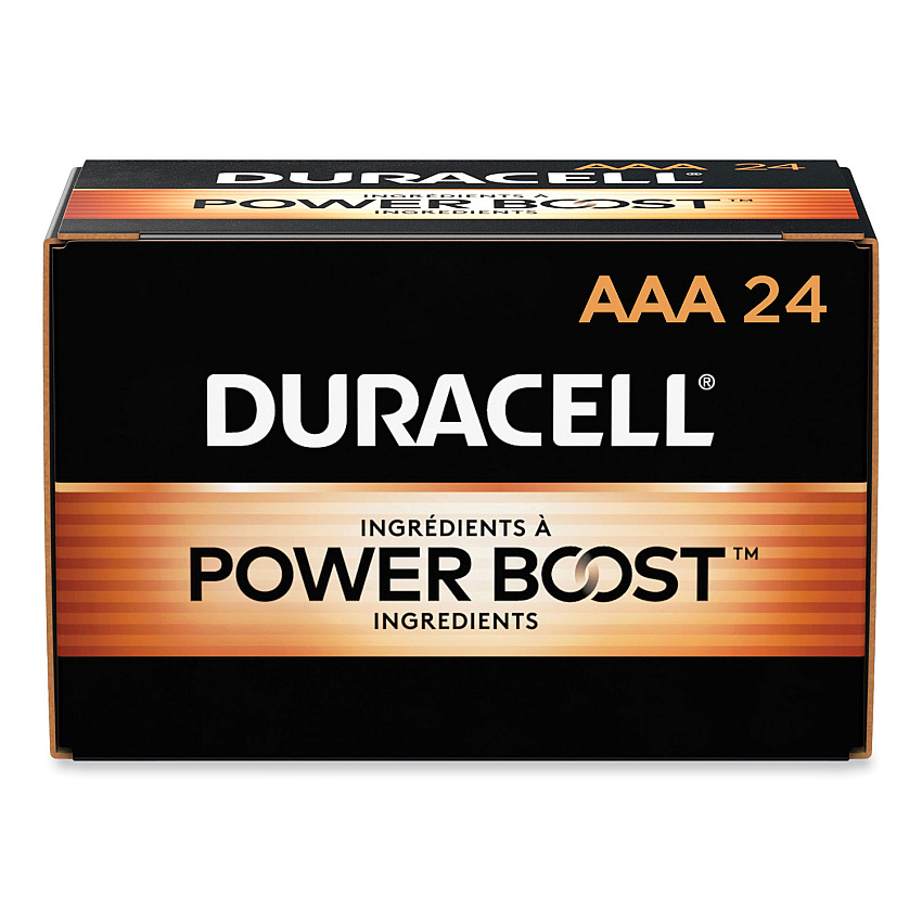 Duracell Power Boost CopperTop Alkaline AAA Batteries, 24/Box (DURMN2400B24000)