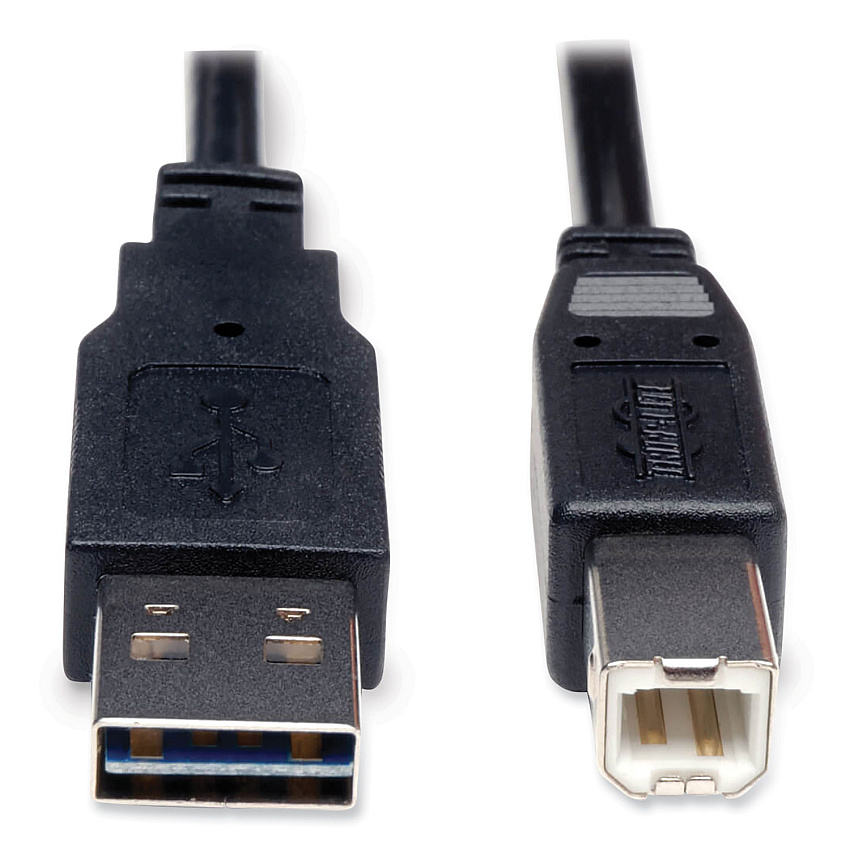 Tripp Lite Universal Reversible USB 2.0 Cable, Reversible A to B (M/M), 6 ft, Black (TRPUR022006)