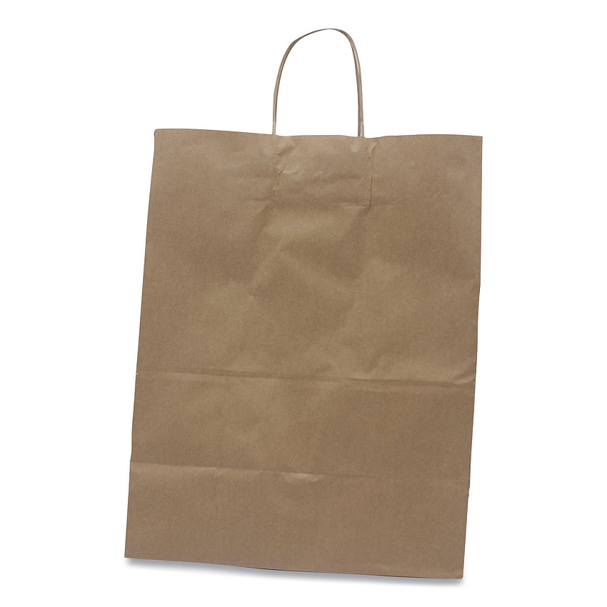Kari-Out Kraft Paper Bags, Natural Kraft Flat Handles, 13" x 7" x 17", Natural, 250/Carton (KOT1200130)