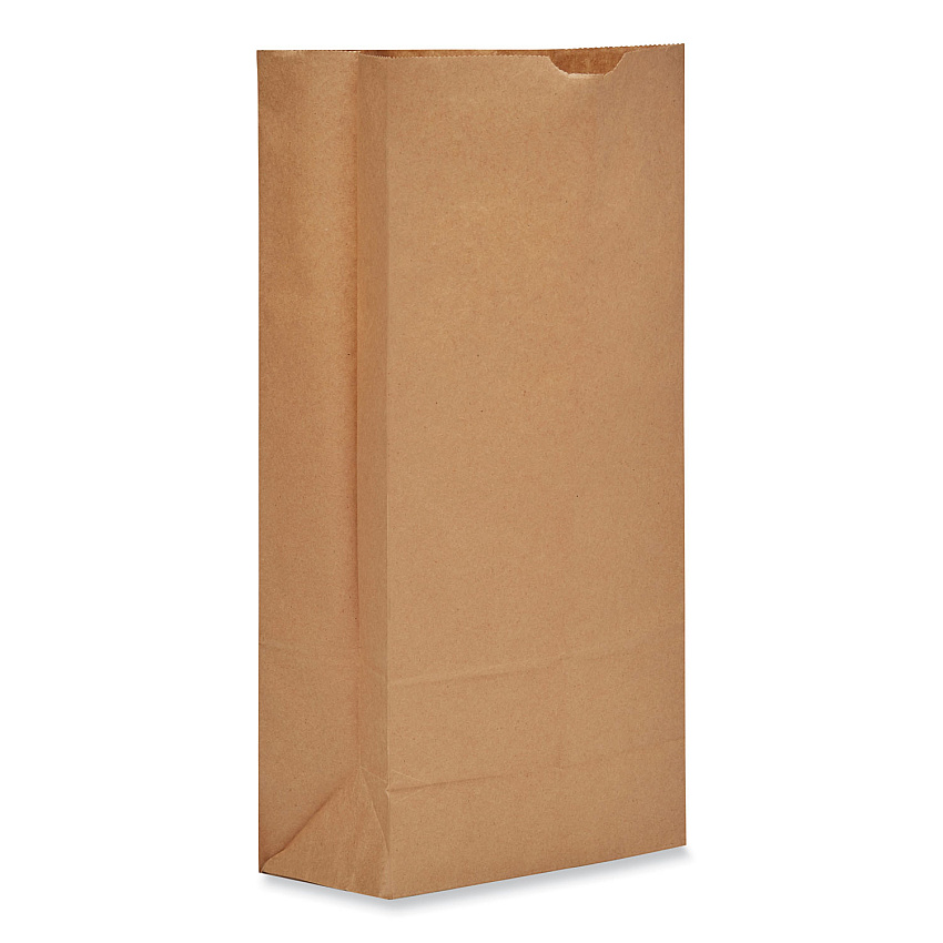 General Grocery Paper Bags, Heavy-Duty, #25 Size, 8.25" x 5.94" x 16.13", Natural, 500/Bundle (BAGGH25)