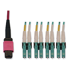 Tripp Lite OM4-Rated 12-Strand to LC Duplex Fiber Optic Cable, 9.8 ft, Magenta, Ships in 7-10 Business Days (N845X03M8LMG)