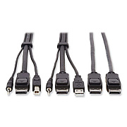 Tripp Lite Dual DisplayPort KVM Cable Kit, 10 ft, Black, Ships in 7-10 Business Days (P783010DP)