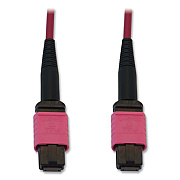 Tripp Lite OM4-Rated 12-Strand Fiber Optic Cable, 9.8 ft, Magenta, Ships in 7-10 Business Days (TRPN845B03M12MG)