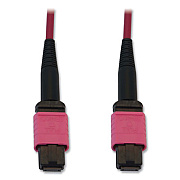 Tripp Lite OM4-Rated 12-Strand Fiber Optic Cable, 32.8 ft, Magenta, Ships in 7-10 Business Days (N845B10M12MG)