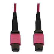 Tripp Lite OM4-Rated 12-Strand Fiber Optic Cable, 82 ft, Magenta, Ships in 7-10 Business Days (N845B25M12MG)