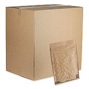 Pregis EverTec Curbside Recyclable Padded Mailer, #0, Kraft Paper, Self-Adhesive Closure, 7 x 9, Brown, 300/Carton (PGS4083813)