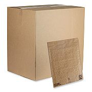Pregis EverTec Curbside Recyclable Padded Mailer, #6, Kraft Paper, Self-Adhesive Closure, 14 x 18, Brown, 50/Carton (PGS4083817)