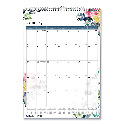 Blueline 12-Month Colorful Wall Calendar, Passion Floral Artwork, 12 x 17, White/Multicolor Sheets, 12-Month (Jan to Dec): 2026 (C173126)