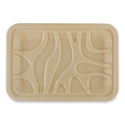 World Centric Fiber Trays, 5.7 x 8.2 x 0.6, Natural, Paper, 500/Carton (WORTRSC2SLFS)