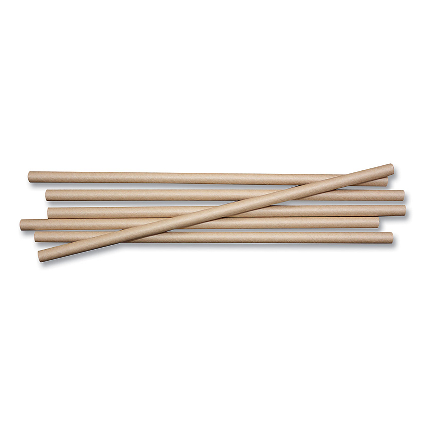 World Centric Sustainable Kraft Paper Straws, 8", 6,000/Carton (WORSTPA8K)