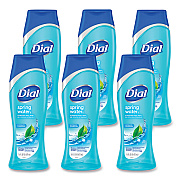 Dial Body Wash, Spring Water Scent, 16 oz, 6/Carton (DIA02653)