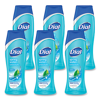 Dial Body Wash, Spring Water Scent, 16 oz, 6/Carton (DIA02653)
